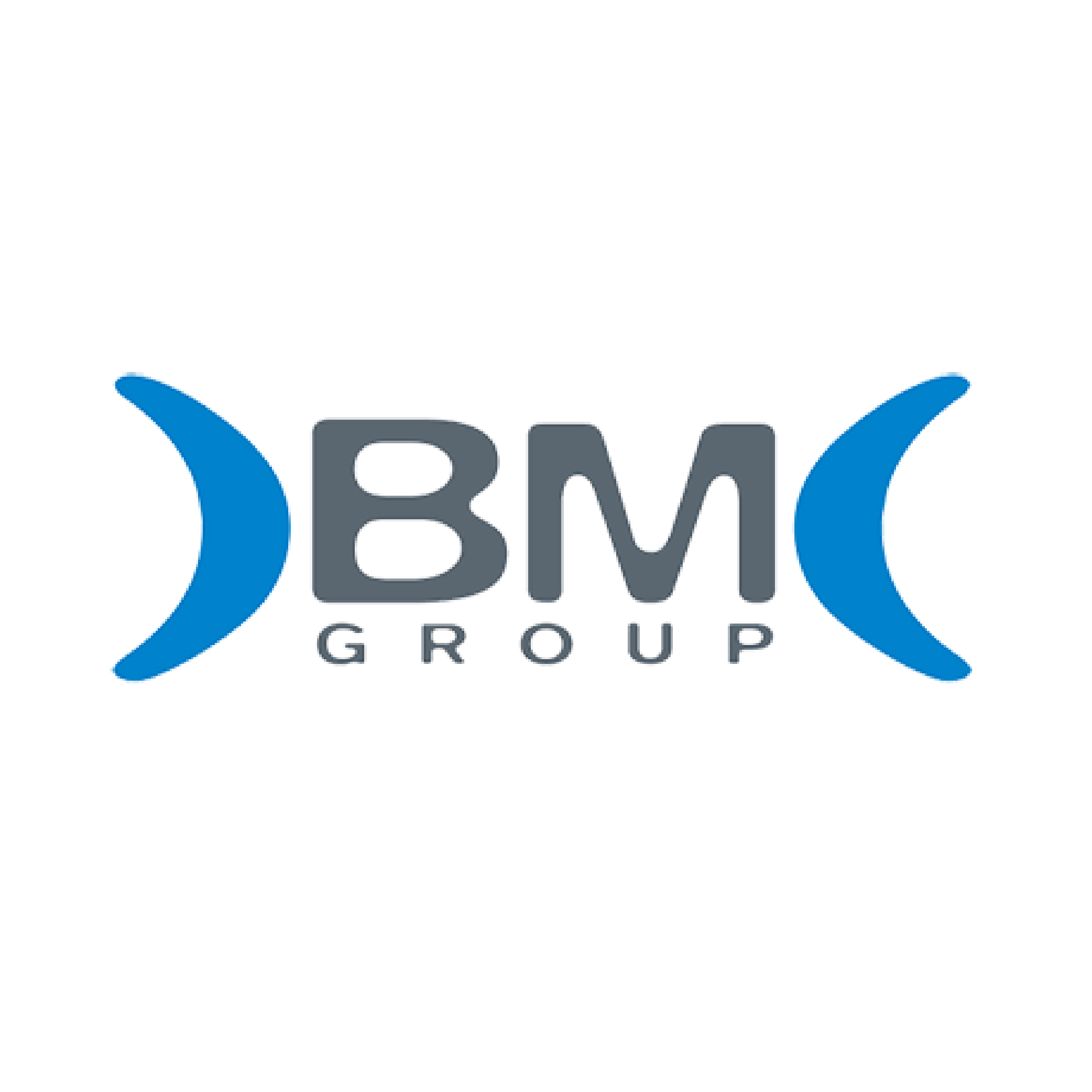 Logo BM Group