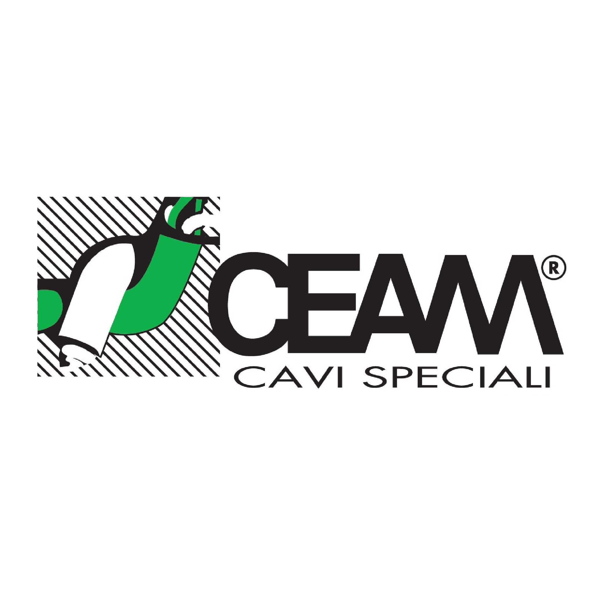 Logo CEAM Cavi Speciali