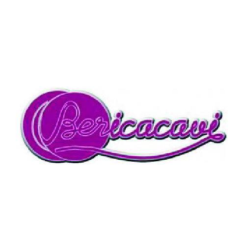 Logo Berica Cavi