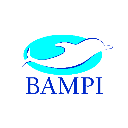 Logo Bampi